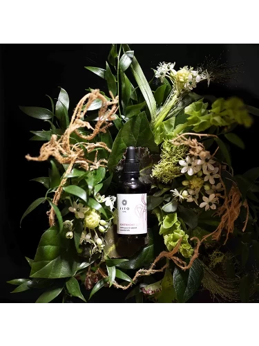 Aromaterapia – jak wybrać olejek eteryczny dla siebie?