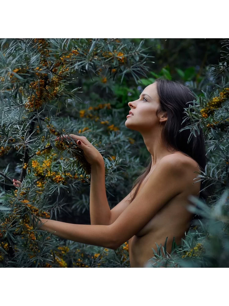 NOWA OFERTA KOSMETYKÓW FITO SPA. JESZCZE BARDZIEJ EKO! 
